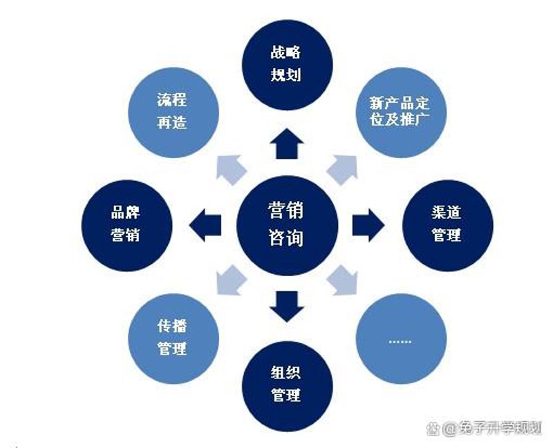 企业战略规划：引领未来之道